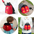 Mochila Andador para Niños - Tienda Mish!